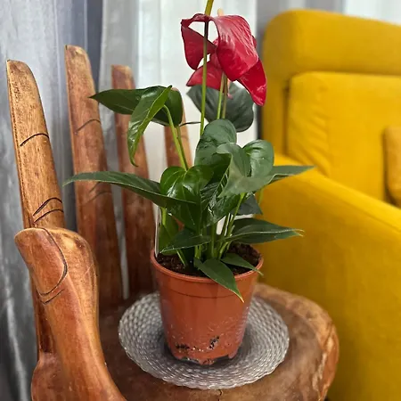 Maison Cosy Climatisee Avec Jardin Holiday home